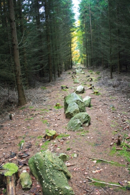 Kamenné řady poblíž Kounova