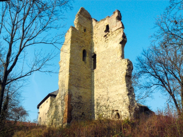 Torzo věže někdejšího hradu Dražice