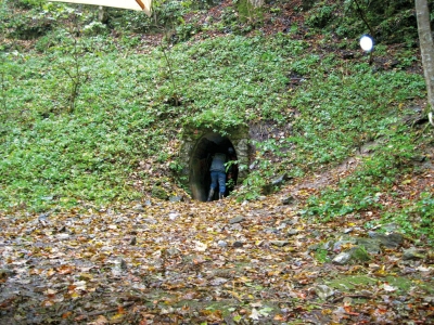 Vstup do Amatérské jeskyně z Pustého žlebu