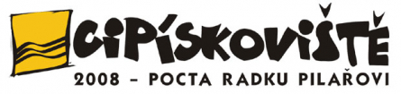 Sand Festival in Písek