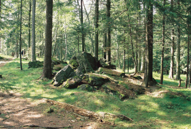 Tracing Celts in Plzeň Region