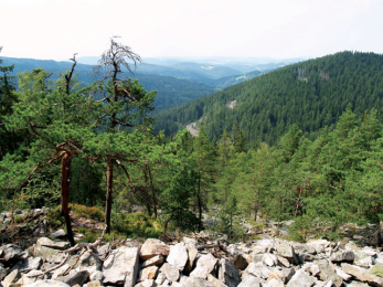 Tracing Celts in Plzeň Region