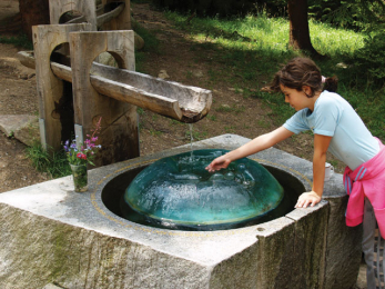 Tracing Celts in Plzeň Region