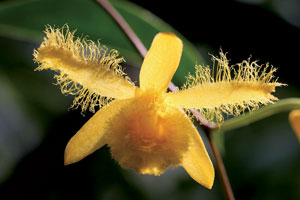 KAM za kulturou, březen 2008 - Praha