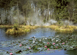 Památník A. Dvořáka ve Vysoké