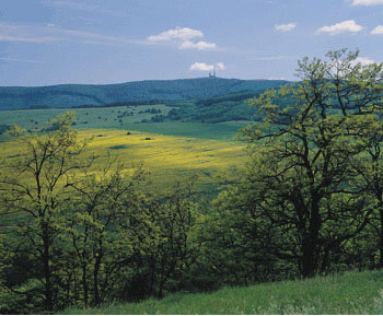 Poznejte tóny Jižní Moravy