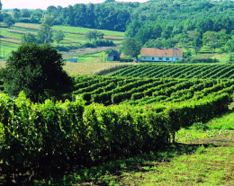 Poznejte tóny Jižní Moravy