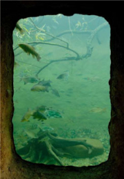 Newsletter města Plzně o&nbsp;cestovním ruchu říjen 2008