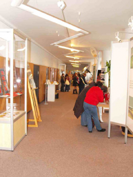 To byl Jihočeský kompas - Veletrh turistických zážitků 2008 