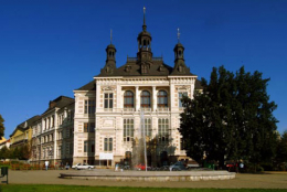 Plzeň přímo od zdroje 11/2008