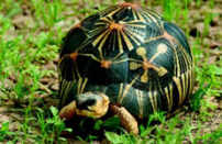 Plzeň přímo od zdroje 1/2009