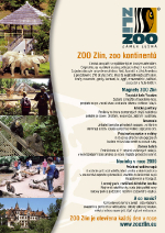 Magazín Východní Morava 2009