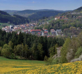 Welcome to South Bohemia Summer 2009