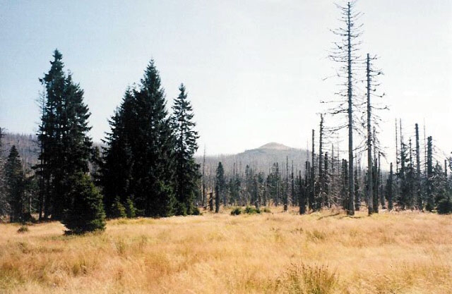 Výstava fotografií SVĚTEM LESNÍCH SAMOT