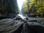 An Indian Summer in the Pardubice Region