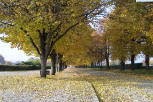 Terezín Memorial – National Cultural Monument