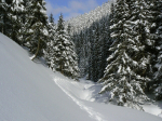 Winter – Jeseníky
