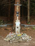 Durch die geheimnisvolle Pilsner Region