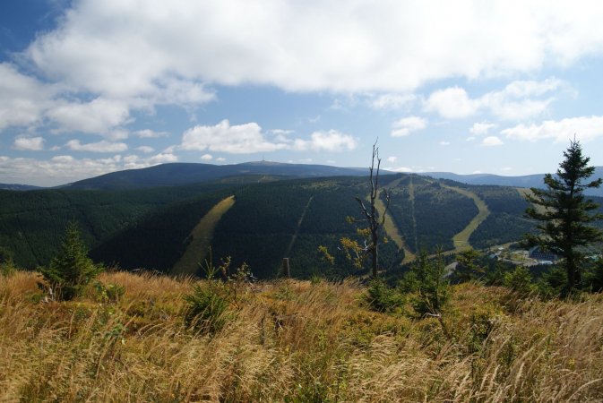 Vyhlídka nad Červenohorským sedlem