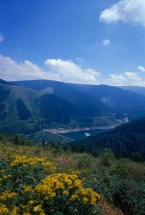 Kolem Dolní nádrže na Praděd