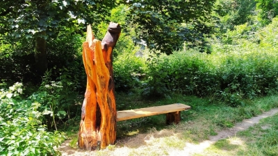 Obrázek č.0