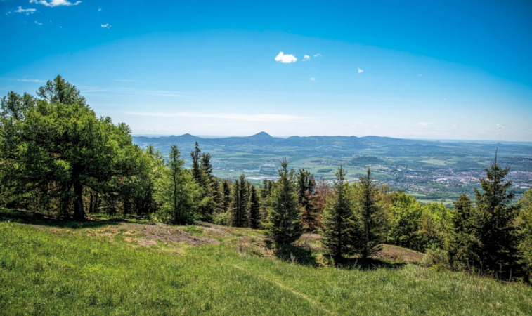 Pohled na České středohoří