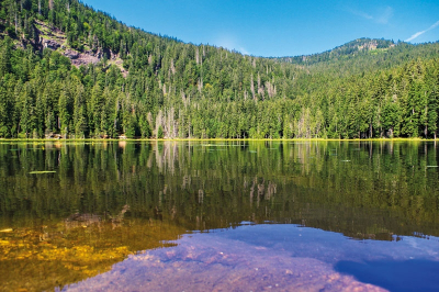 Velké Javorské jezero
