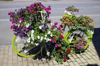 Pojízdné kadeřnictví Mariky Syrovátkové
