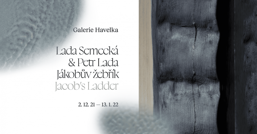 galerie_havelka_vystava_optimized (1).png