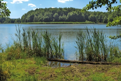 Kařezské rybníky