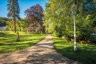 Letos za poznáním v Mariánkách