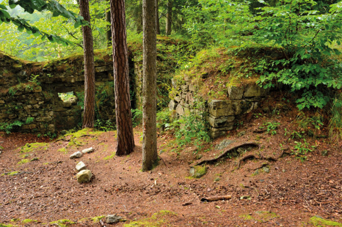 Sokolčí zřícenina