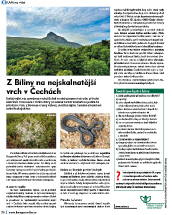 Z Bíliny na nejskalnatější vrch v Čechách