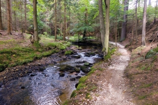 Okruh Černá Voda kolem Smolného vrchu