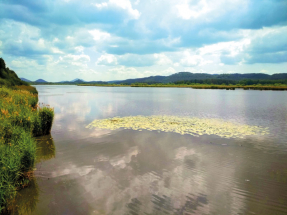 Okolím Novozámeckého rybníka