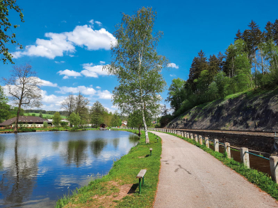 Cyklostezka kolem Labe