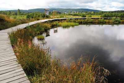 Perninské rašeliniště