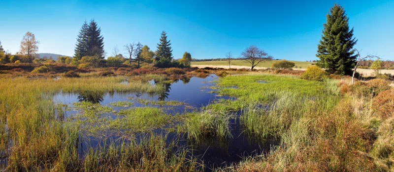 Národní přírodní rezervace Kladské rašeliny