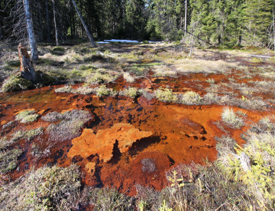 Přírodní rezervace Smraďoch