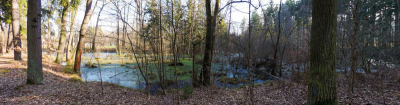 Branišovská blata