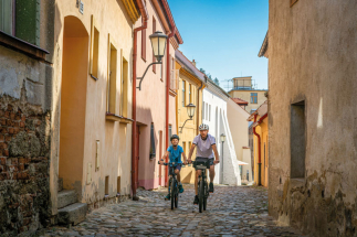 Vysočinský trojúhelník památek UNESCO