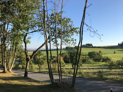  Nový Kostelec – výhled
