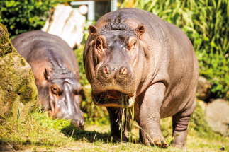 Zoo Ostrava