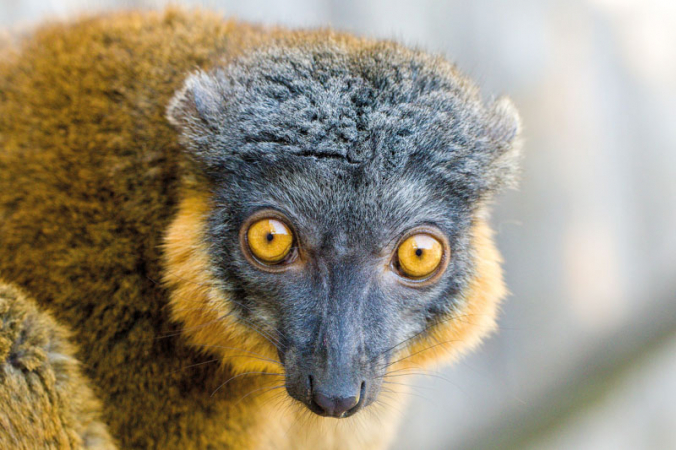zoo05.jpg
