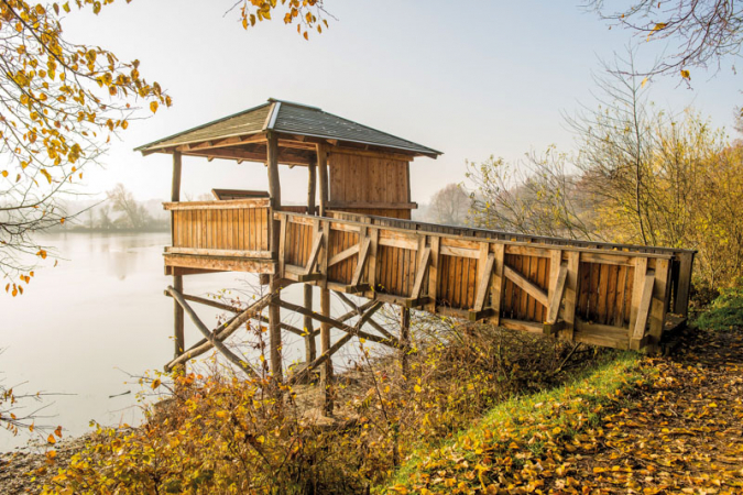 Ptačí pozorovatelna