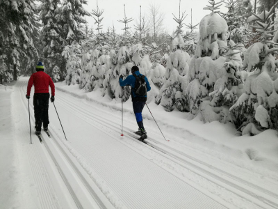 Lyžařské stopy kolem Capartic
