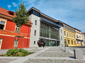 185 let rakovnické knihovny