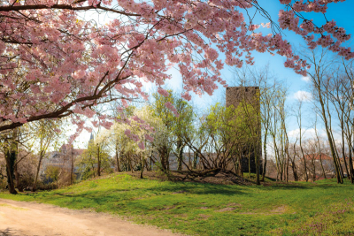 Rozhledna Práchovna