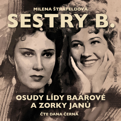 Obrázek č.0