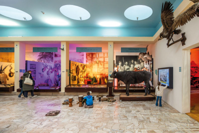 Africké muzeum Dr. Emila Holuba Holice